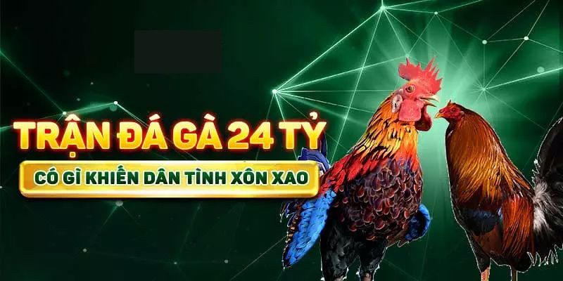 Tìm hiểu cơ bản về trận đá gà 24 tỷ  