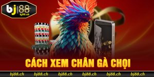 cách xem chân gà chọi