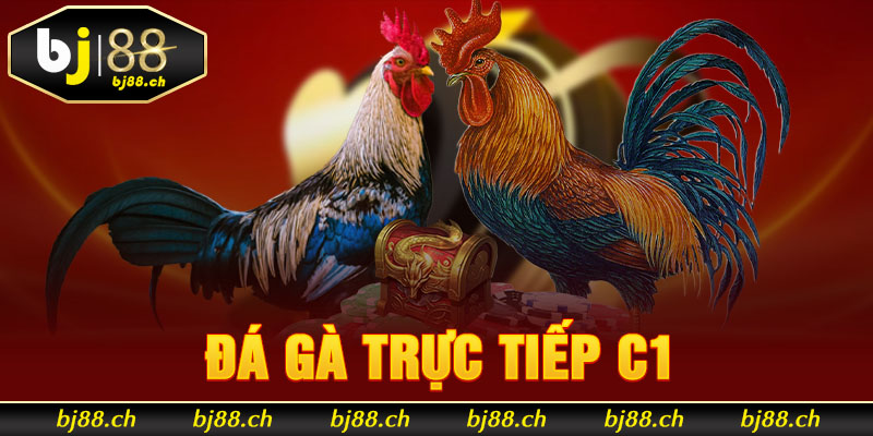 đá gà trực tiếp C1