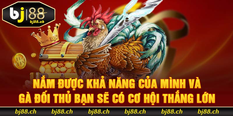 Nắm được khả năng của mình và gà đối thủ bạn sẽ có cơ hội thắng lớn