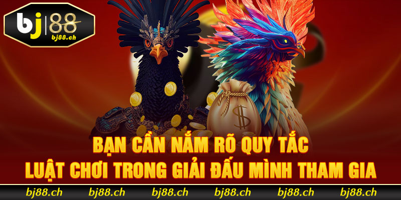 Bạn cần nắm rõ quy tắc, luật chơi trong giải đấu mình tham gia