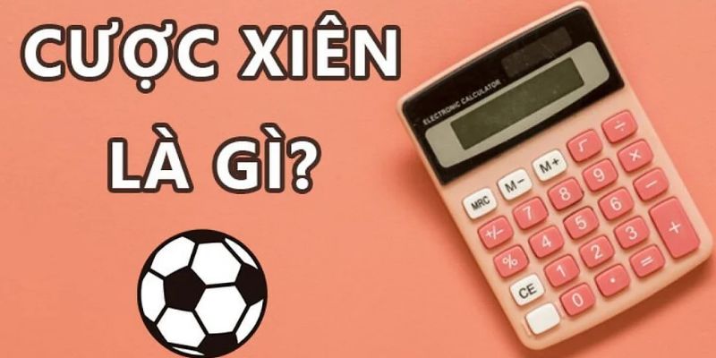 Cược xâu là gì nội dung cá độ cực kỳ thú vị 